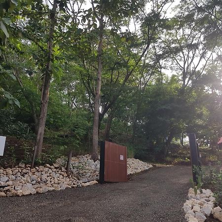 Baliyana Lodge San José Pinilla Kültér fotó