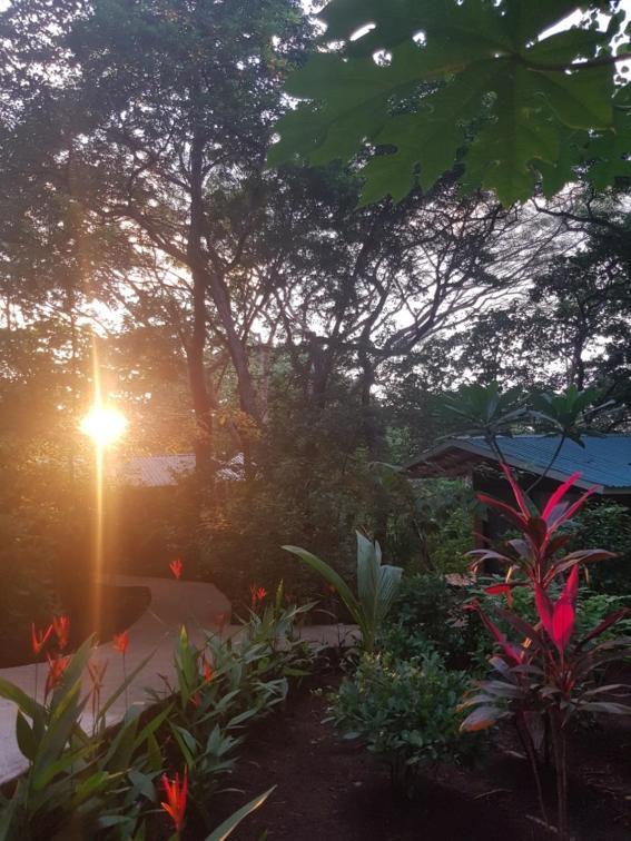 Baliyana Lodge San José Pinilla Kültér fotó
